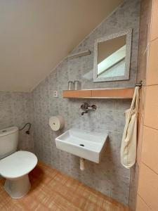 ein Badezimmer mit einem Waschbecken, einem WC und einem Spiegel in der Unterkunft Pension Grizzly in Ludvíkov