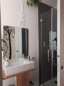 a bathroom with a sink and a shower at Portico 32 - Merano centro in Merano