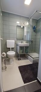 y baño con aseo, lavabo y ducha. en Studio apartman Ada, en Samobor