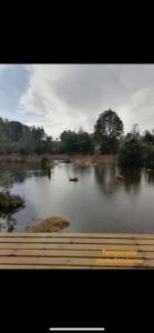 Φυσικό τοπίο κοντά σε αυτό το διαμέρισμα