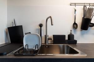 a kitchen with a sink with a scrubber on it at Swiss Alps View Apartment - contactless self check-in in Thun