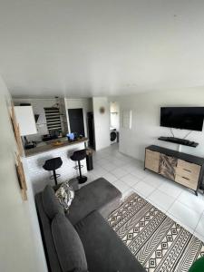 a living room with a couch and a flat screen tv at Appt Hadayali - vue mer - proche CHU in Fort-de-France
