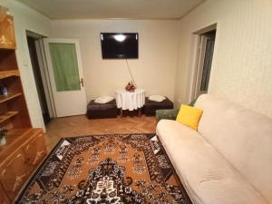 ein Wohnzimmer mit einem Sofa und einem Tisch in der Unterkunft Apartament 3 camere in regim hotelier in Bîrlad