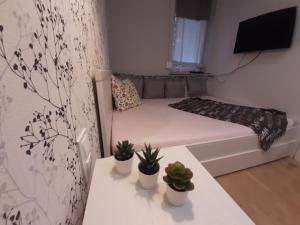 a room with a bed and a table with potted plants at Apartament Nad Zatoką Puck in Puck