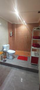バレンシアにあるCarrer de l'Arquitecte Alfaro 27 bajo derechaのバスルーム(トイレ、シャワー付)