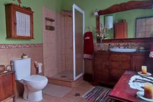 uma casa de banho com um WC, um chuveiro e um lavatório. em Casa Elvira 