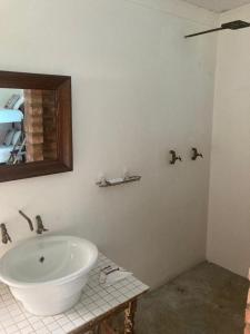 a bathroom with a white sink and a mirror at Ou Werf Farm Cottage in Bredasdorp
