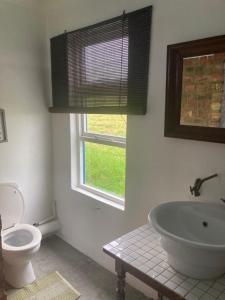 a bathroom with a tub and a toilet and a window at Ou Werf Farm Cottage in Bredasdorp