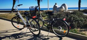 Jazda na bicykli v okolí ubytovania Studio vue mer. Calme et idéalement situé