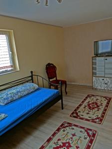1 dormitorio con 1 cama, 1 silla y 2 alfombras en KRW Location, en Lauffen am Neckar