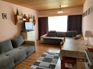 een woonkamer met een bank en een tafel bij Lovely Apartment in Tauplitz