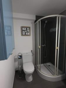 La salle de bains est pourvue d'une douche et de toilettes. dans l'établissement Boszkowo summer house & apartments, à Boszkowo
