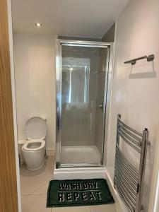 a bathroom with a shower with a toilet and a green rug at YES Apartments in Crayford