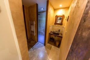 a small bathroom with a shower and a sink at Domaine de la Ferté Clairbois in Sainte-Suzanne