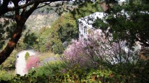 住宿加早餐旅馆周边自然景观