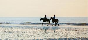 Due persone cavalcano a cavallo sulla spiaggia di Gîte Est de la pointe d'Agon 4 convives a Agon Coutainville