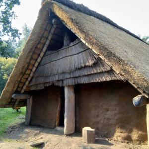 a hut with a thatched roof in a field at Uniek overnachten in de prehistorie in Lelystad