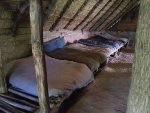 a couple of bunk beds in a room at Uniek overnachten in de prehistorie in Lelystad