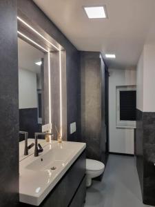 een badkamer met een wastafel, een toilet en een spiegel bij Lakstīgalas 