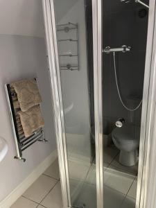 Stockton on the forestにある27 The Limes Room 2のシャワーとトイレ付きのバスルーム +2枚の写真