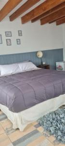 維亞梅立奎納的住宿－Mountain House Suites de montaña，卧室内的一张大床和紫色的被子