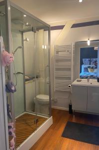 a bathroom with a shower and a toilet and a sink at Chambre Archi in Écourt-Saint-Quentin