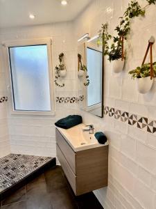 ein Bad mit einem Waschbecken und einem Spiegel in der Unterkunft Issy - les jardins du séminaire in Issy-les-Moulineaux