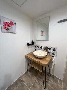 a bathroom with a sink and a mirror at Les gîtes de la bergerie in Meximieux