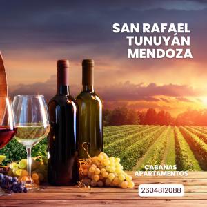dos botellas y una copa de vino junto a un viñedo en TUNUYÁN Cabañas - ALIANZA Compañía Inmobiliaria - Cuenta publicitaria en Tunuyán