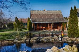 a log cabin with a pond in front of it at Guesthouse Peto in Novi Kneževac