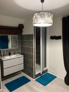 Łazienka w obiekcie LA DEMEURE DU CERF - gîte de charme privatif en Sologne 6P avec Jacuzzi et piscine chauffée - Lamotte Beuvron Zoo de Beauval Center parcs