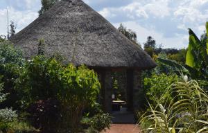 a small hut with a thatched roof in a garden at Rutete Eco Lodge in Rwinkwavu