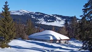 普雷芒翁的住宿－Le Repaire du Loup blanc，山上有雪盖屋顶的建筑