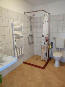uma casa de banho com um chuveiro e um WC. em Holló és Bárány Vendégház em Herend