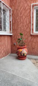 a plant in a large pot sitting next to a wall at safari village case 29 in Saly Portudal