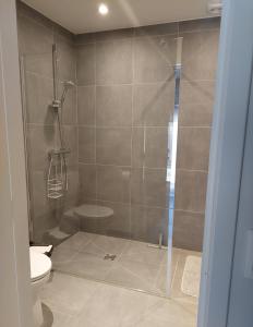 łazienka z prysznicem i toaletą w obiekcie Maison avec vue exceptionnelle et piscine privative w mieście Saint-Félix-de-Lunel