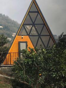 pomarańczowy i czarny dom z drzewem w obiekcie Darchi • დარჩი w mieście Batumi