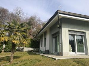 una piccola casa con una palma di fronte di Villa in Precollina a Torino