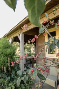 a plant with pink flowers in front of a house at Chalet Ben in Broek in Benningbroek +15 photos