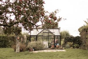 un invernadero en un jardín con manzanas en la parte superior en Chalet Ben in Broek, en Benningbroek