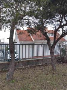 a house with a white fence and a tree at Dovolenkový dom priamo na brehu in Dunajská Streda