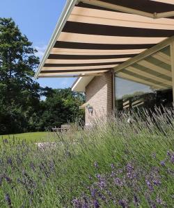 Fotografie z fotogalerie ubytování Achthoek 67, quiet location minutes from the beach v destinaci Scharendijke