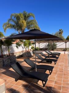 a row of lounge chairs under an umbrella at Casa Limon, boutique Bed and Breakfast, Andalucia in Alhaurín el Grande
