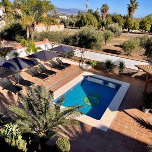 widok na basen z krzesłami i ośrodek w obiekcie Casa Limon, boutique Bed and Breakfast, Andalucia w mieście Alhaurín el Grande