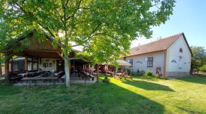 Zahrada ubytování Kázmér Szállás - Gasthaus