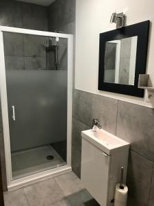 La salle de bains est pourvue d'une douche, d'un lavabo et d'un miroir. dans l'établissement Studette de 17m2 avec parking privé gratuit Climatisation et petite cuisine, à Menton