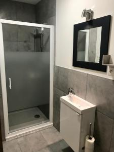 Kúpeľňa v ubytovaní Studette de 17m2 avec parking privé gratuit Climatisation et petite cuisine