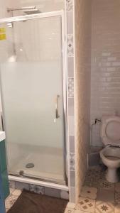 łazienka z prysznicem i toaletą w obiekcie Le Viva w mieście Saint-Étienne