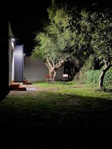 Dārzs pie naktsmītnes Cabaña en Chascomús cercana a la estación