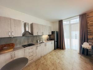 Kuchyň nebo kuchyňský kout v ubytování Villa Sophia - three bedrooms